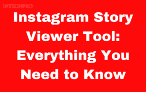 Instagram Story Viewer Tool