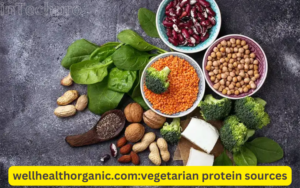 wellhealthorganic.com:vegetarian protein sources