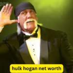 hulk hogan net worth