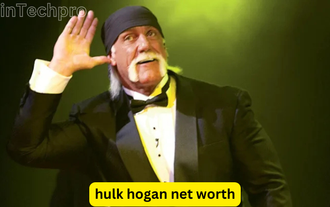 hulk hogan net worth